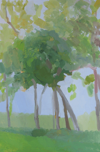 Under the Canopy