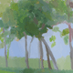 Under the Canopy thumbnail