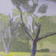 Tree on 14th Street thumbnail