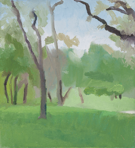 Late Afternoon