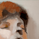 Sleeping Student thumbnail